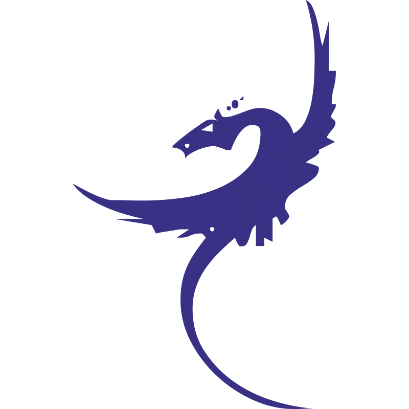 Dragon Dragon