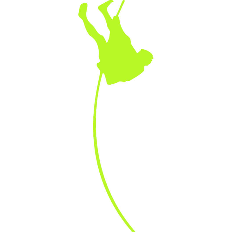 Saut a la perche