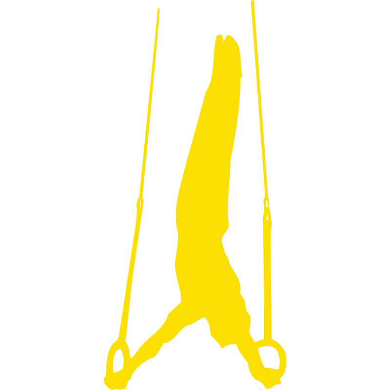 Gym anneau