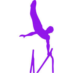 Barres paralelles