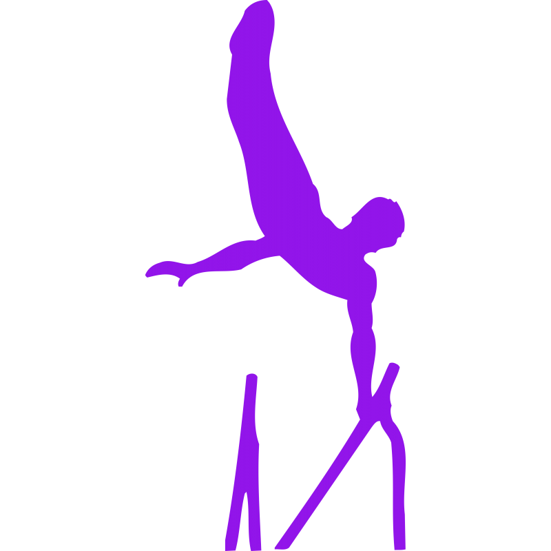 Barres paralelles