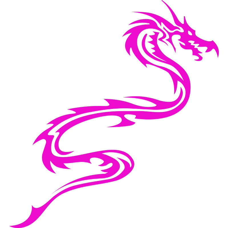 Dragon Dragon