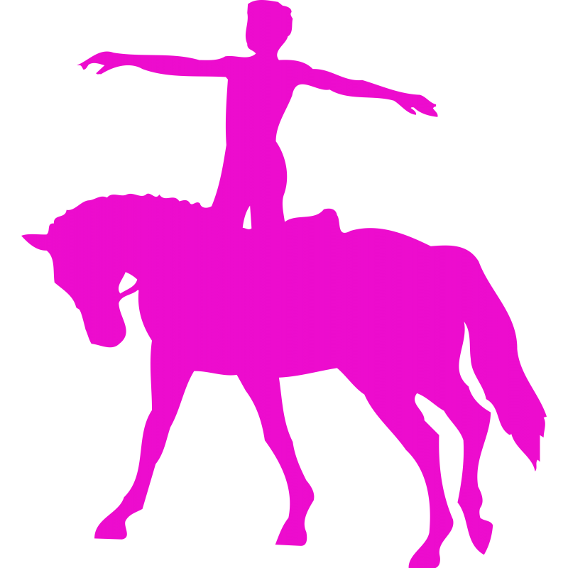 Cheval acrobatique