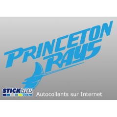 Princeton Devil Rays