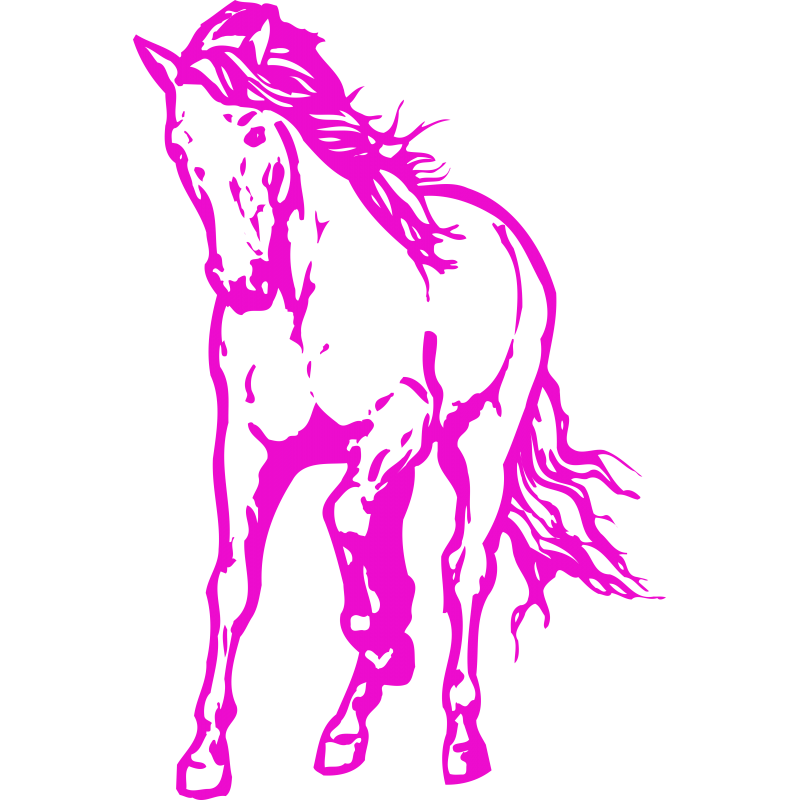 Cheval