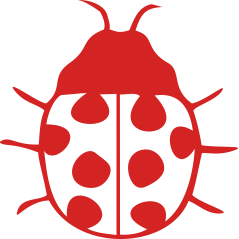 Coccinelle
