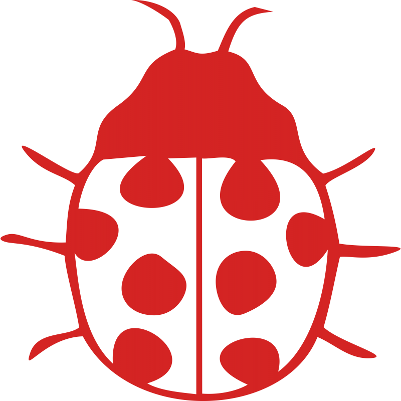 Coccinelle