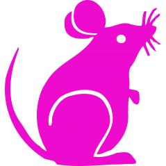 Souris