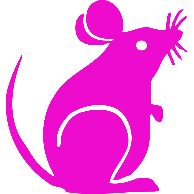 Souris
