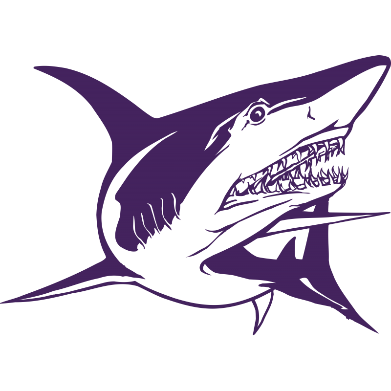 Requin