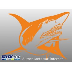 Requin