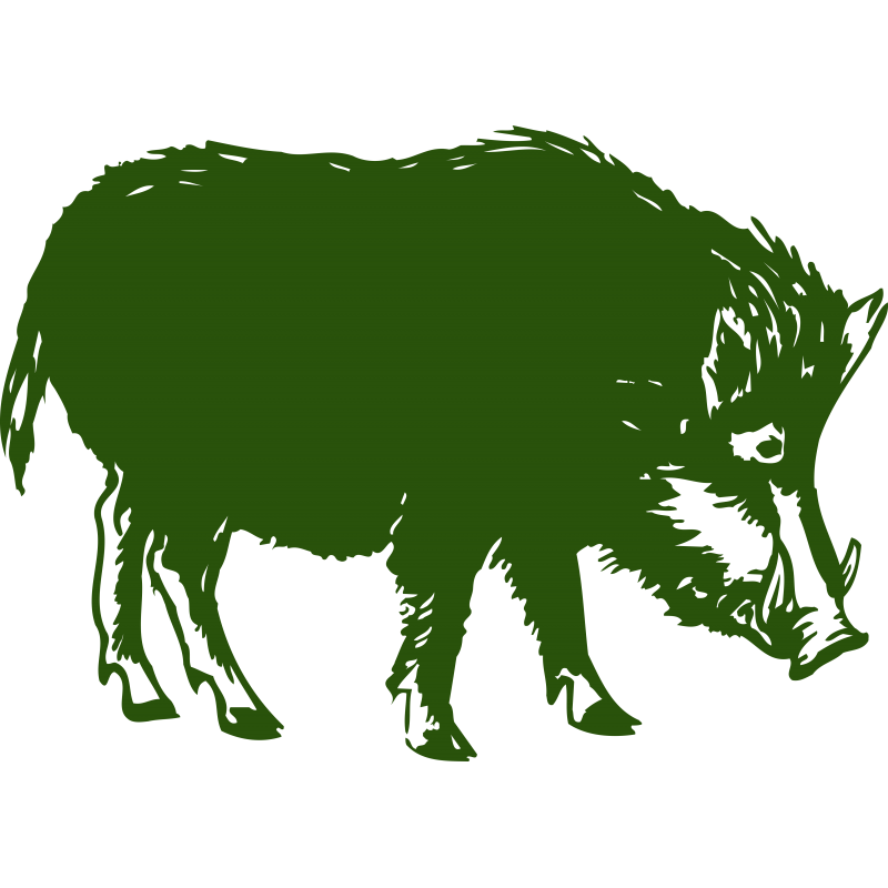 Sanglier
