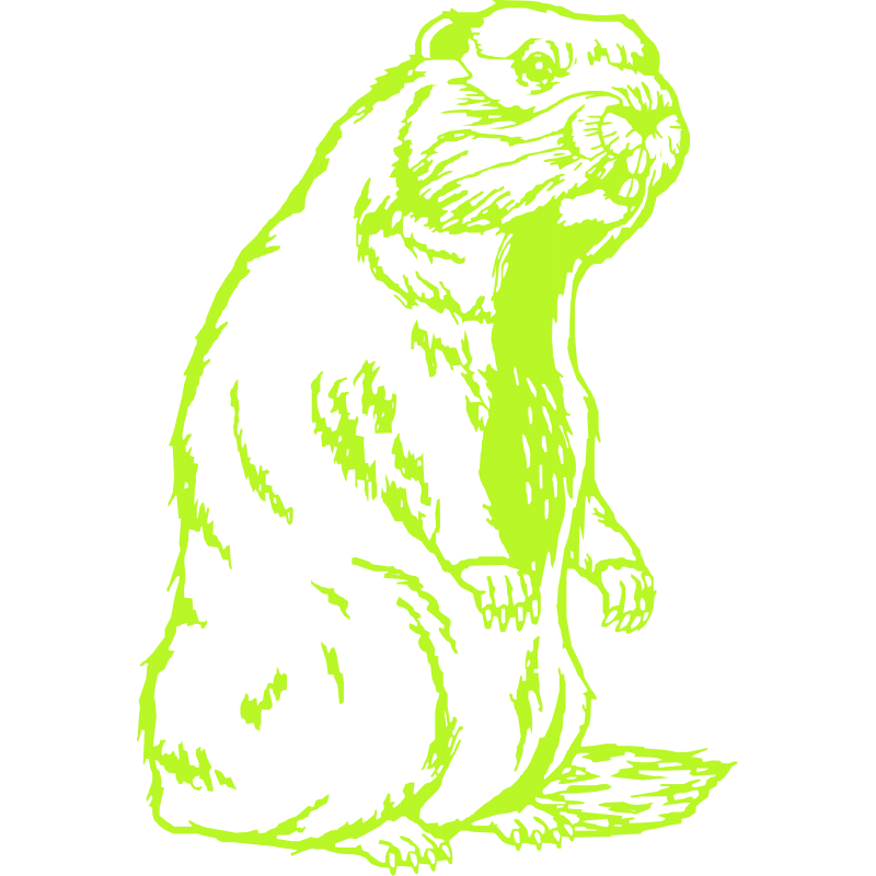 Marmotte
