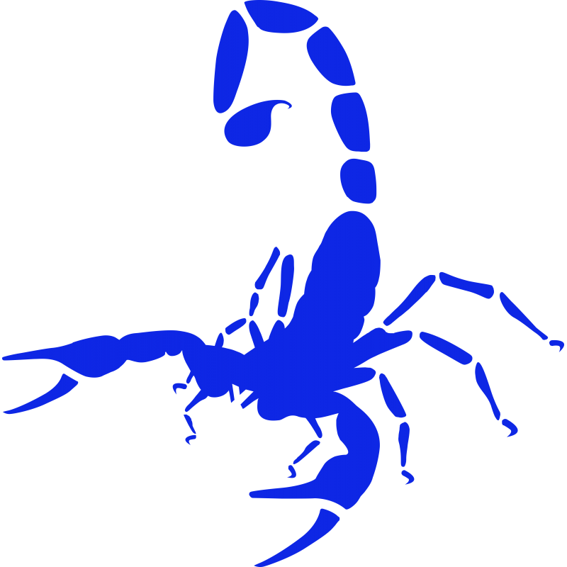 Scorpion Scorpion