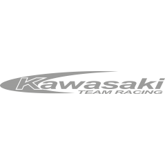 Kawasaki Team Racing