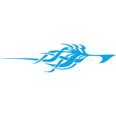 Tribal 29