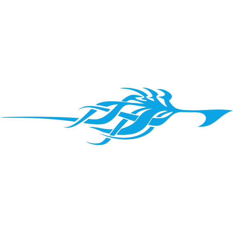 Tribal 29