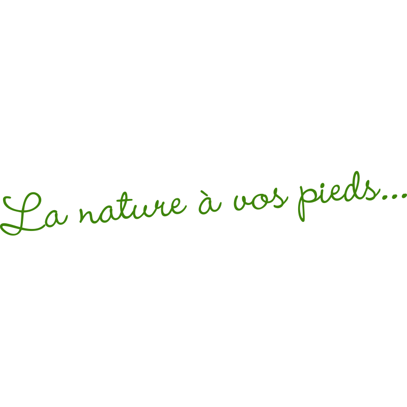 La nature à vos pieds