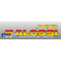 Malossi