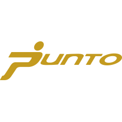 Fiat punto logo