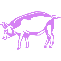 Cochon