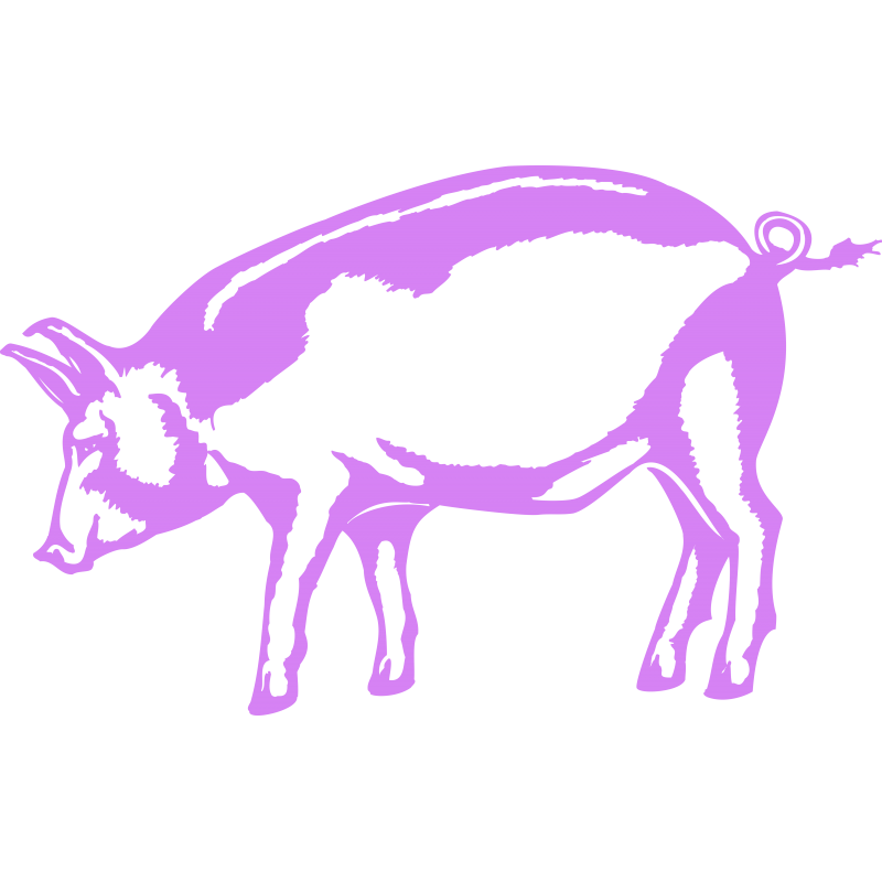 Cochon