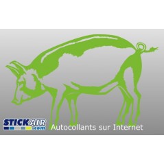 Cochon