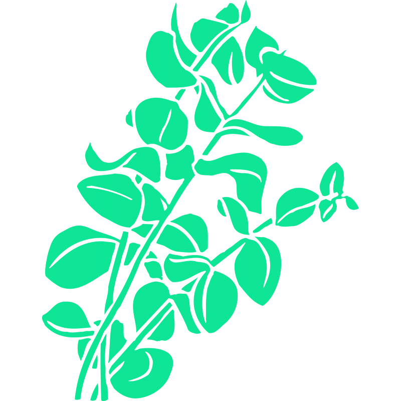 Fleur Fleur