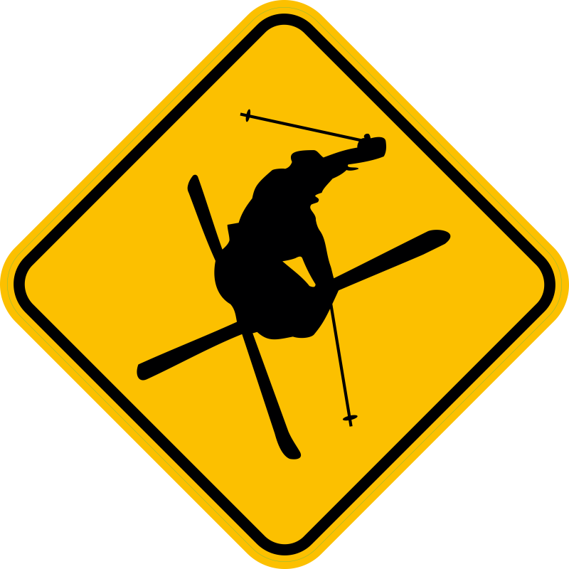 Skieur free style