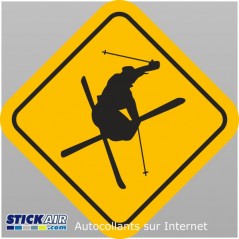 Skieur free style