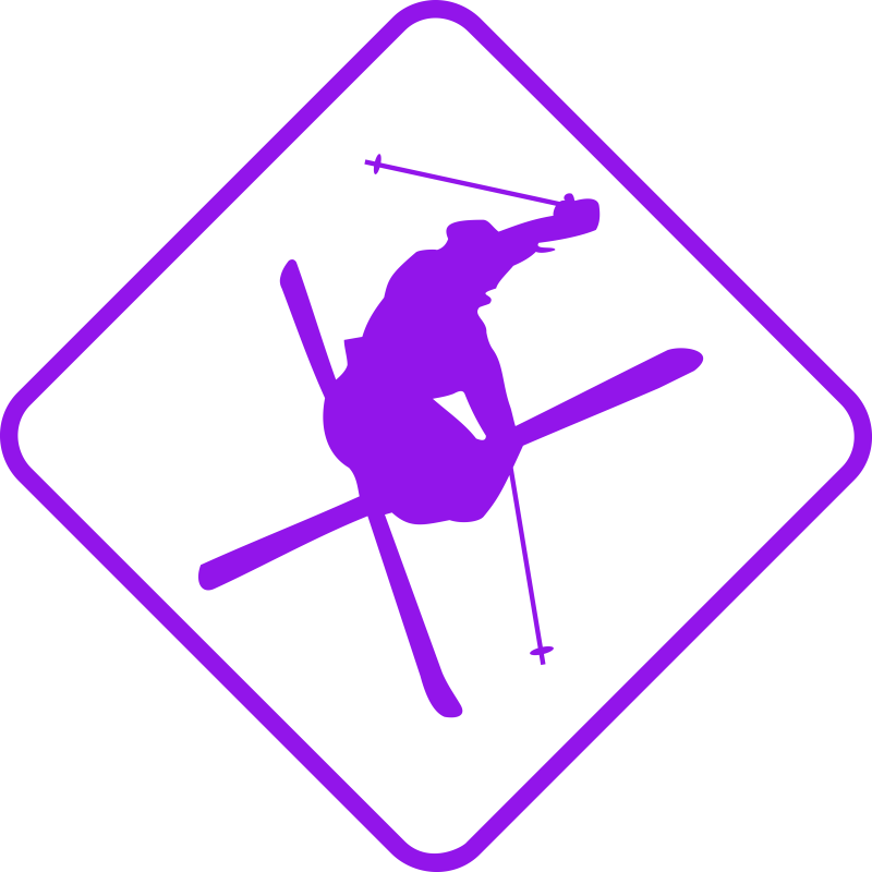 Skieur free style