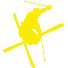 Skieur free style