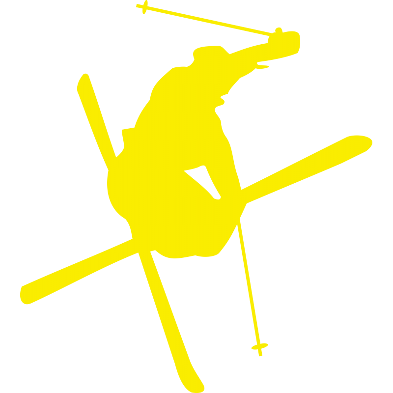 Skieur free style