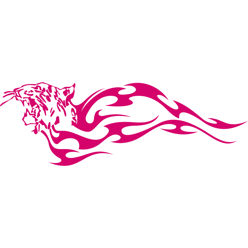 Tigre