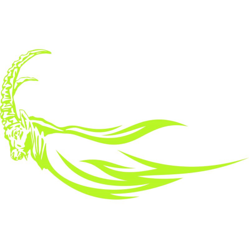 Bouquetin