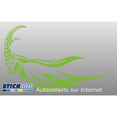 Bouquetin