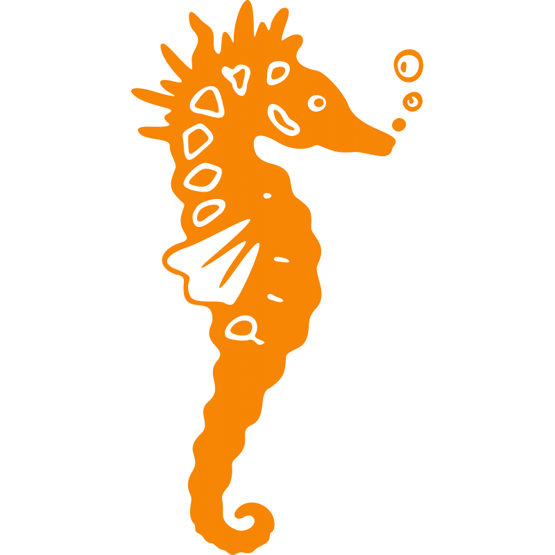 Hippocampe