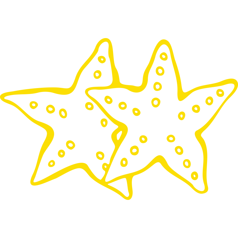 Etoiles de mer