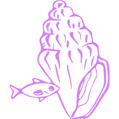 Coquillage et poisson