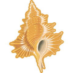 Coquillage