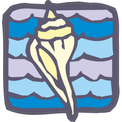 Coquillage