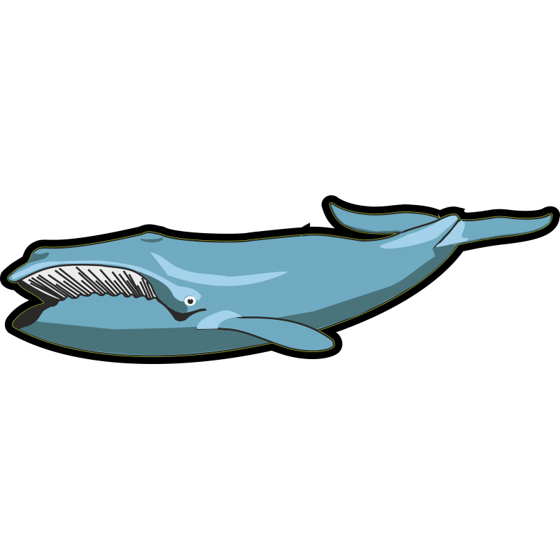Baleine