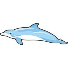 Dauphin
