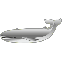 Baleine