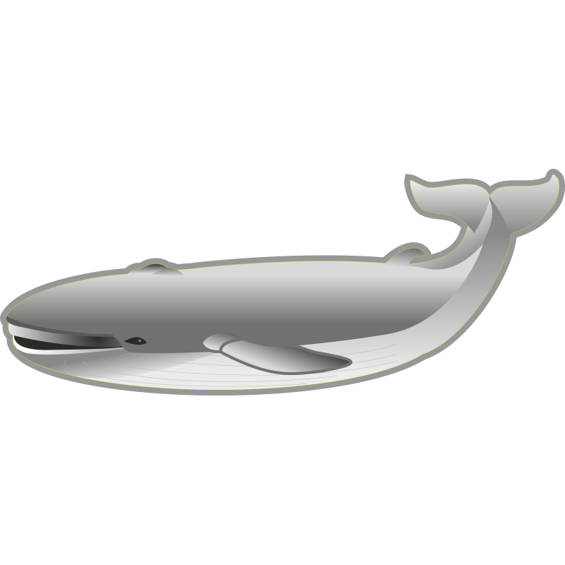 Baleine Baleine