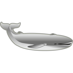 Baleine