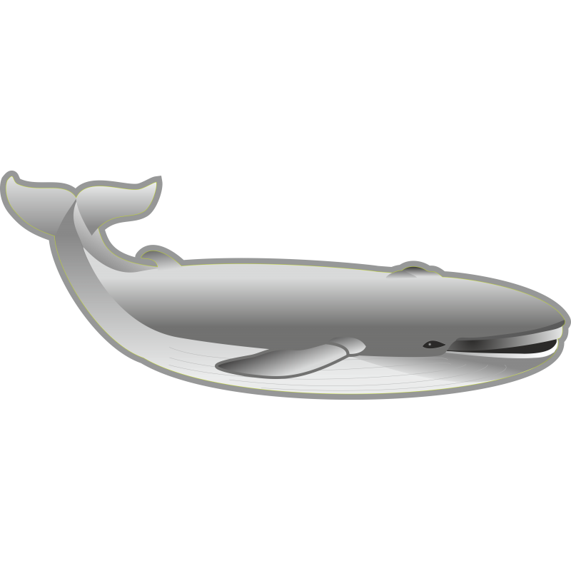 Baleine