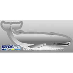 Baleine