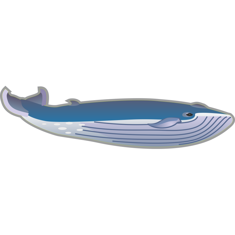 Baleine