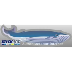 Baleine